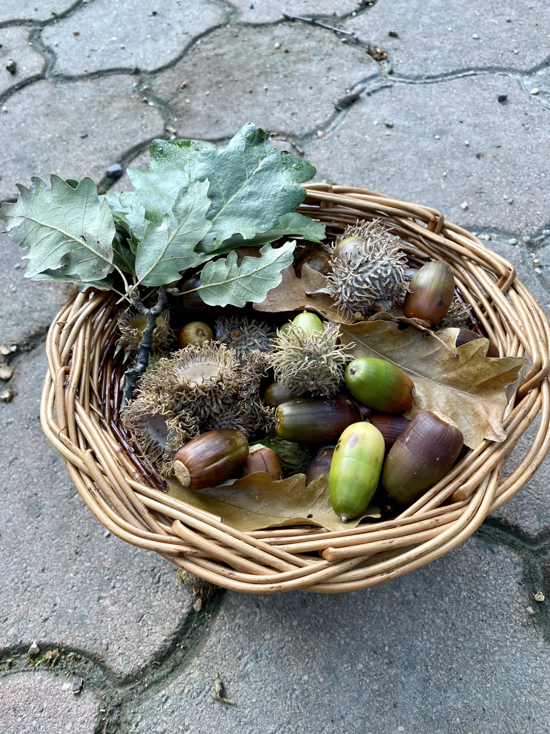 Fall decoration at home
