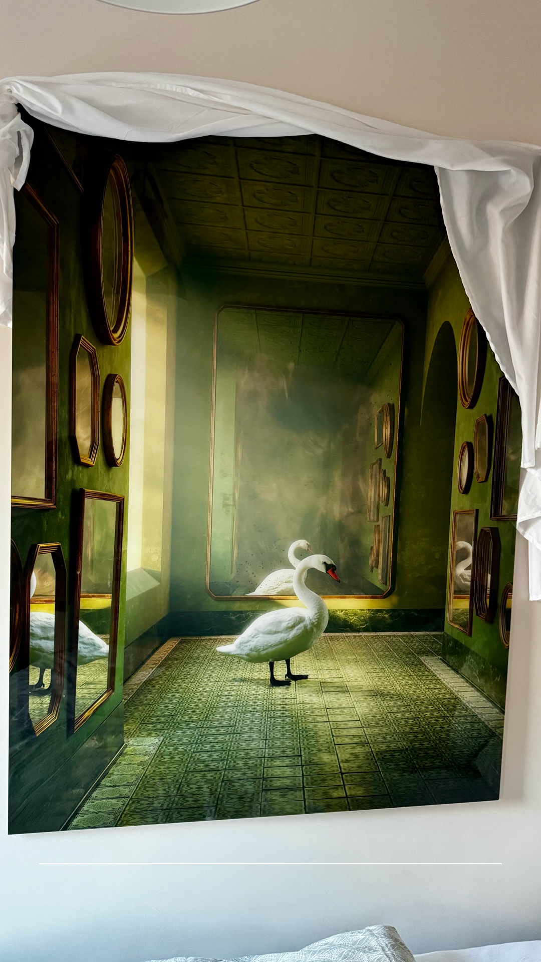 Massimo Colonna Swan